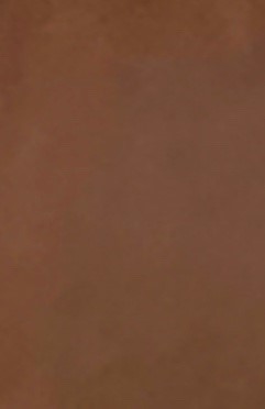 Italian Leather - Tan Beige