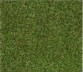 Artificial Grass