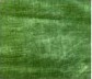 Green Velvet Fabric